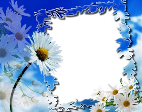 hd background png free download.